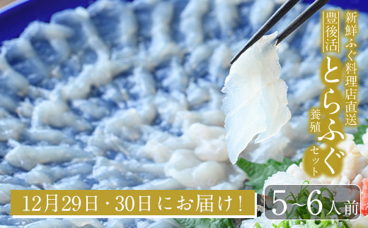 
＜先行予約受付中！12月29日、30日にお届け！＞焼きひれ付き！新鮮ふぐ料理店直送　「豊後活とらふぐセット　養殖5-6人前」とらふぐ ふぐ フグ ふぐ刺し フグ刺し ふぐ刺身 フグ刺身 刺身 鮮魚 冷蔵 国産 大分県 佐伯市【HD213】【さいき本舗 城下堂】
