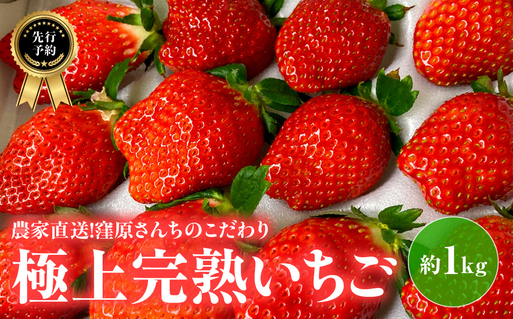 【先行予約・2027年1月～発送】農家直送！窪原さんちのこだわり極上、完熟いちご　（とちおとめ、紅ほっぺ、やよいひめのいずれかを約１㎏） SMDH001