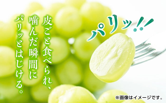 【先行予約】【数量限定】シャインマスカット 約2kg 3～5房 ぶどう 種なし【合同会社 福福堂】 [ZCN008]