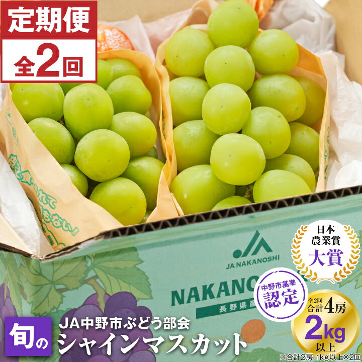 【ふるさと納税】【発送月固定定期便】〈2025年発送〉シャインマスカット2房1kg以上　JA中野市から直送全2回_ ぶどう 葡萄 シャインマスカット 果物 くだもの フルーツ 長野 産地直送 人気 おすすめ 送料無料 お取り寄せ 【配送不可地域：離島】【4059319】