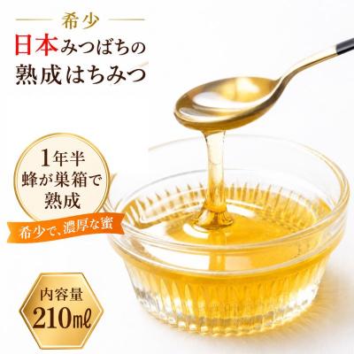 ふるさと納税 小川村 国産日本ミツバチ熟成はちみつ　百花蜂蜜210g*392