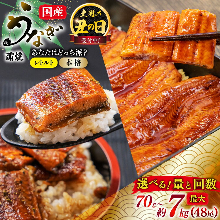 【ふるさと納税】 うなぎ 国産 訳あり 蒲焼 雌うなぎ レトルト or 本格派 選べる 種類 量 回数 定期便 [マルニうなぎ加工 静岡県 吉田町 22424561] 鰻 ウナギ unagi 蒲焼き うなぎ蒲焼 めすうなぎ 雌鰻 メスウナギ 丑の日 丑の日配送 真空パック 冷凍 ギフト 土用の丑