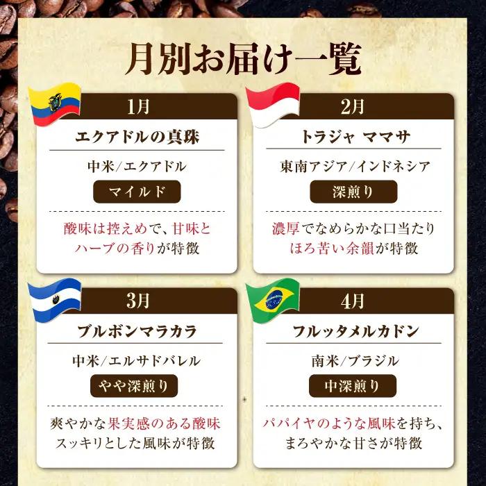 【全12回】江田島シティローストブレンド コーヒー豆or粉 全13種 コーヒー[XBE084]
