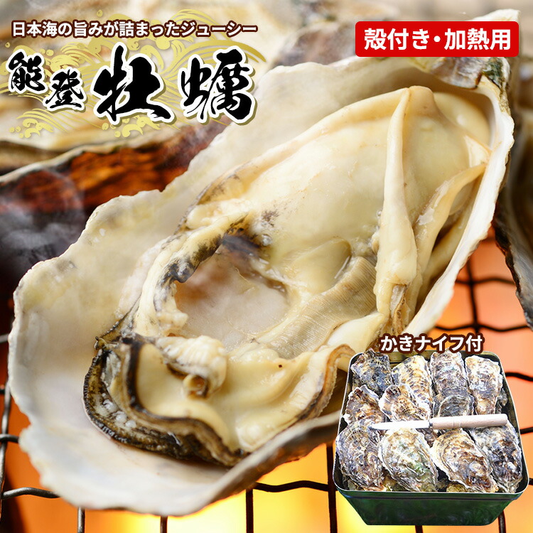 魚介類 牡蠣 能登かき殻付き・加熱用・半斗缶［約40～50個］ ｜牡蠣 カンカン焼き カキ かき 加熱用 カキフライ 海鮮 魚介 国産 石川県 七尾市 能登 復興