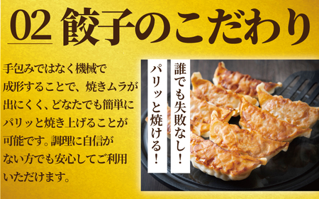 餃子 110個 | 餃子