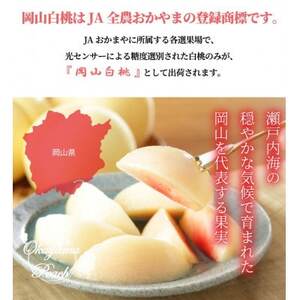 【先行受付】岡山白桃 ロイヤル 5～10玉 1.8kg 岡山県産【配送不可地域：離島・北海道・沖縄県】【1305703】