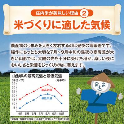 ふるさと納税 酒田市 令和7年産【精米】雪若丸 5kg×1袋 白米 山形県庄内産 |  | 02