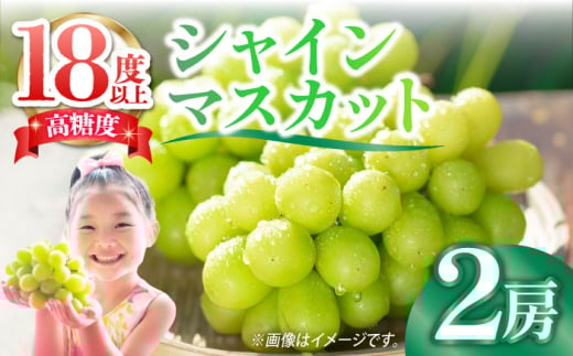 【2025年9月中旬〜発送】【数量限定】＜口の中であふれる果汁＞大粒 シャインマスカット 2房 1.4kg以上 / 南島原市 / 川田果樹園 [SFN001] シャインマスカット 先行予約 ブドウ ぶどう しゃいんますかっと フルーツ 果物 20000 20000円 2万円