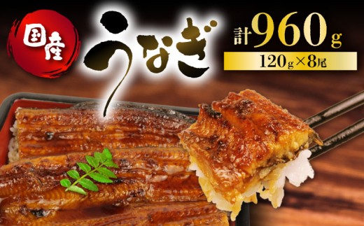 うなぎ 国産 蒲焼 120g × 8尾 計960g 鰻蒲焼 ウナギ 土用 丑の日 JAS認定 活鰻 自家製蒲焼のたれ 山椒 ギフト 贈答 冷凍 養殖 真空パック レンジ 調理 湯煎 まとめ買い 静岡県 藤枝