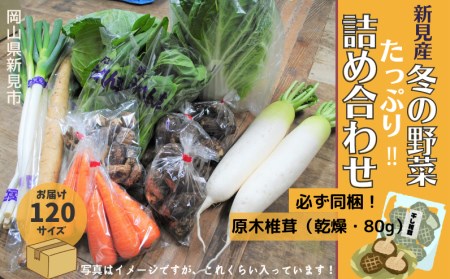 新見市産 冬の野菜詰め合わせセット【11月中旬～1月中旬発送】