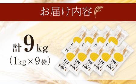 「麦の匠」デュラムセモリナ100％スパゲッティ１kg×9袋 / 貝塚市産パスタ パスタ麺 もちもちパスタ パスタ スパゲティ スパゲッティ 乾麺 麺 もちもち 業務用 長期保存 まとめ買い 大容量 1