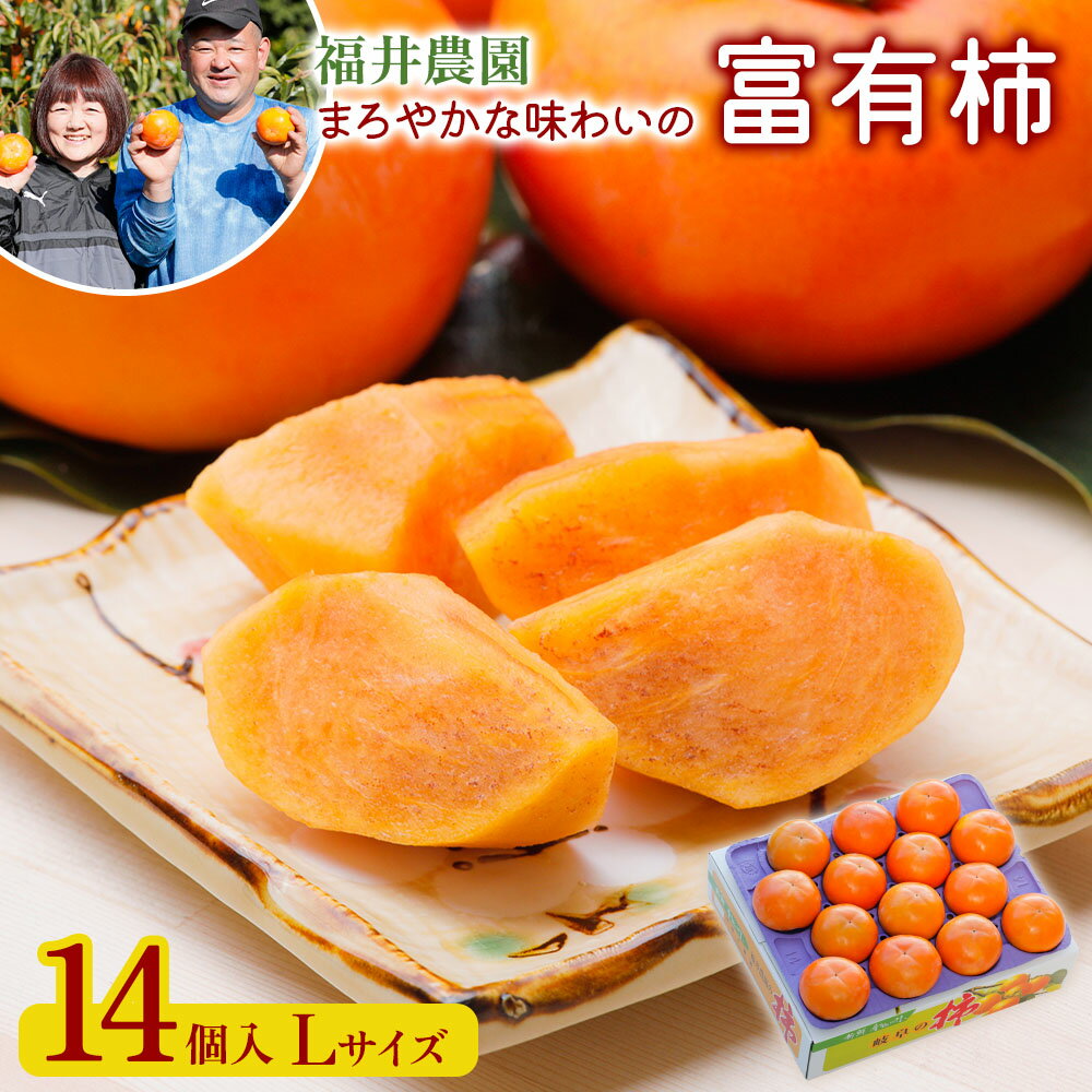 【ふるさと納税】【先行予約】《柿の王様》令和7年産 富有柿 Lサイズ (14個入) [0151]｜令和7年産 福井農園 柿 かき 富有柿 フルーツ カキ 果物 化粧箱 入り くだもの 産地直送 岐阜県 本巣市 特産 10000円 一万円