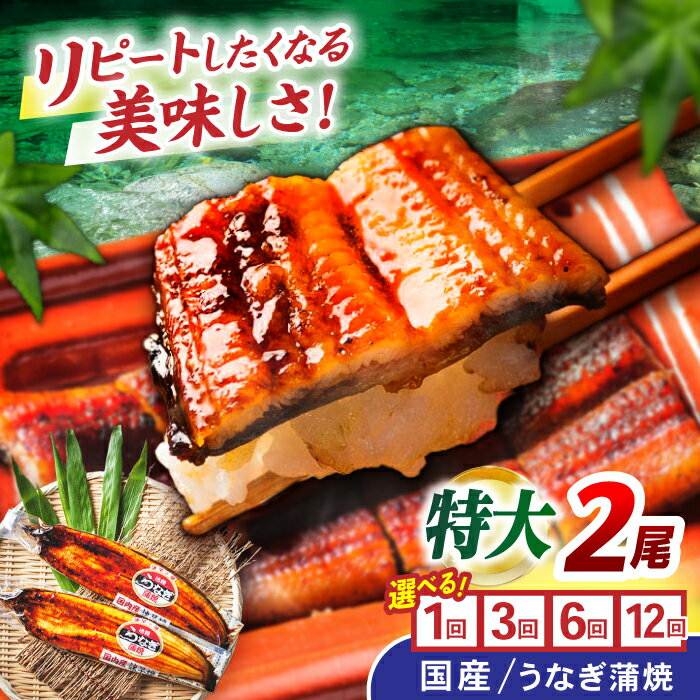 【ふるさと納税】＜諫早淡水＞特大うなぎ蒲焼 2尾 / うなぎ ウナギ 鰻 unagi 蒲焼き 蒲焼 国産 特大 冷凍 うな重 うな丼 ひつまぶし / 諫早市 / 諫早淡水株式会社 [AHAT014] 丑の日 土用丑の日
