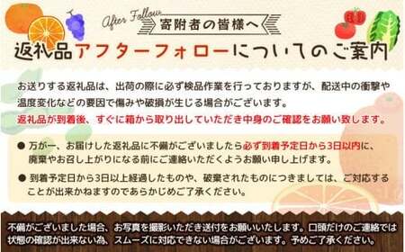 【2026年先行予約】岡山県産 【訳あり】 ピオーネ1.0kg以上（2房）産地直送 朝採れ / ぶどう 葡萄 先行予約 フルーツ 真庭市【kgftmt017-02】