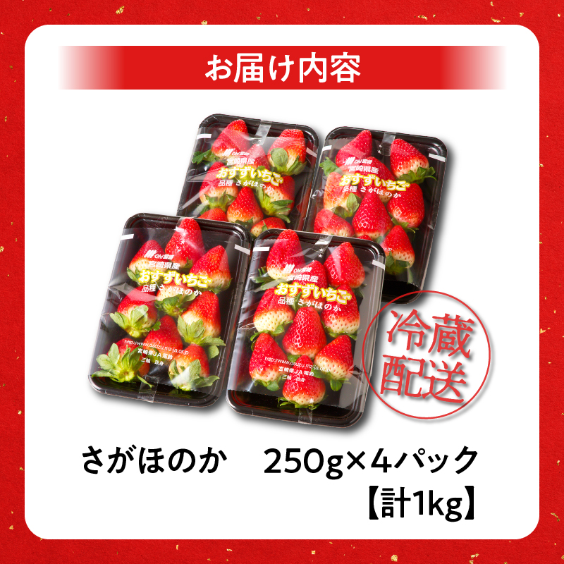 先行予約≪数量限定≫都農町産いちご「さがほのか」計1kg以上_T015-001【 都農町新着 フルーツ 果物 デザート イチゴ 国産 人気 ギフト 食品 旬 苺 くだもの 果実 贈り物 お土産 送料無
