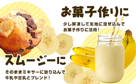 フローズン瀬戸内ばなな 100g ×5 バナナ