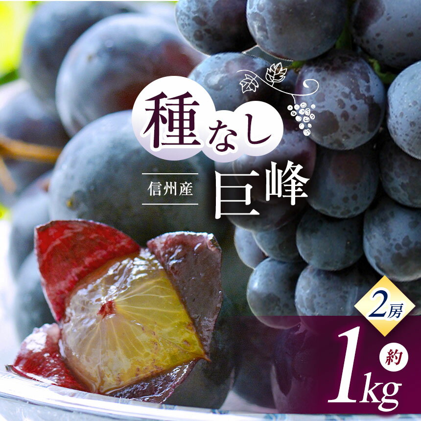 【ふるさと納税】【先行受付：2026発送】信州産 種無し巨峰 約1kg｜ふるさと納税 松本市 巨峰 ぶどう 葡萄 果物 フルーツ 美味しい 種無し 新鮮 信州産