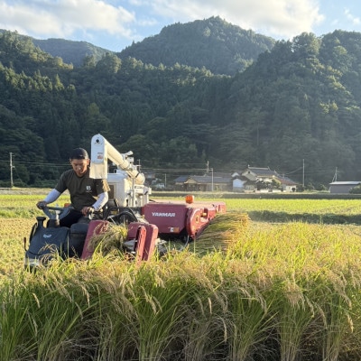 お試し!令和8年産〈先行受付〉9月より順次発送【蛇紋岩銀粒　彩りの舞】300g(2合×1袋)