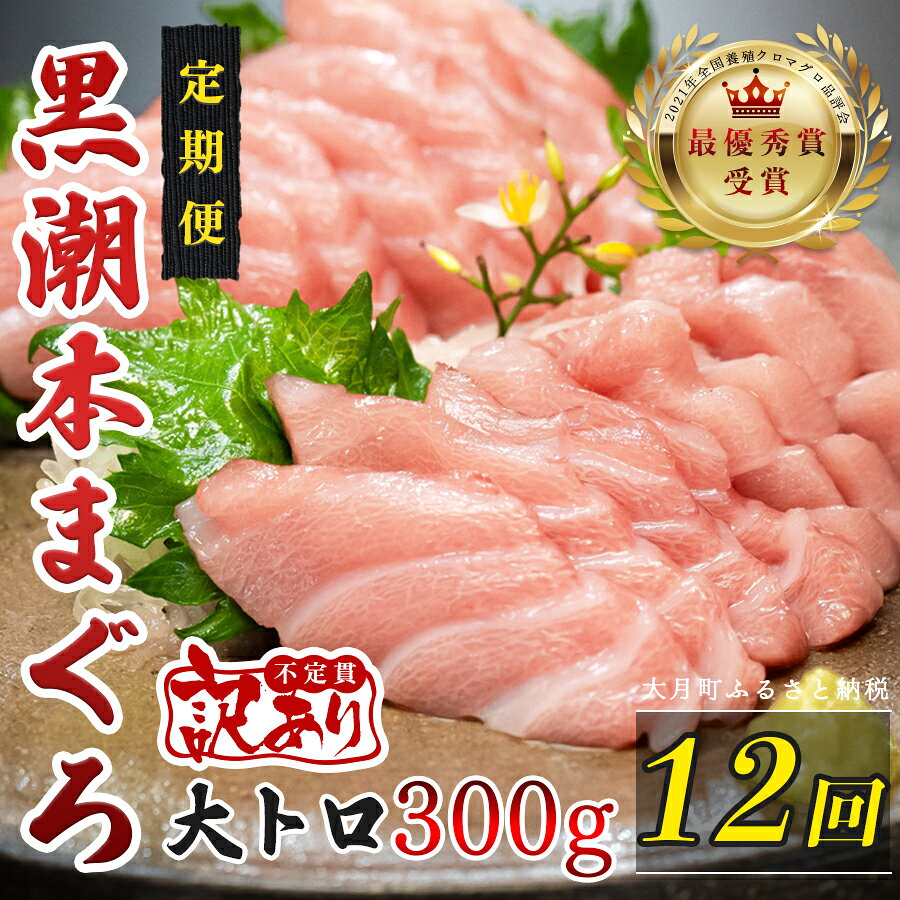 【ふるさと納税】 訳あり 不定貫 定期便 12回 高知県産 本マグロ 大トロ 養殖 300g