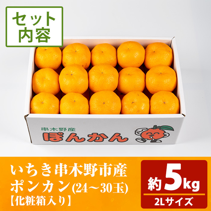 ＜先行予約受付中！2025年12月上旬頃より順次発送予定！＞池之上果樹園の旬のポンカン (約5kg・約24〜30玉)(化粧箱入り) 国産 鹿児島県産 果物 ぽんかん 椪柑 みかん ミカン 蜜柑 フルー