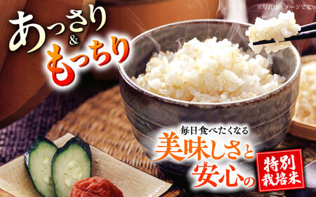 【先行予約】 【令和7年度】 【全3回定期便】 くまさんの輝き 玄米 5kg 計15kg（2025年10月下旬ごろ順次発送）【坂本農園】[AYCC023]