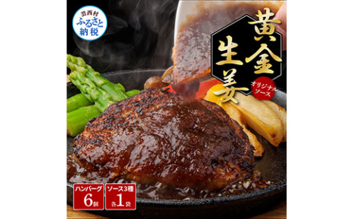 食べ比べ！老舗レストランの国産牛・美鮮豚ハンバーグ130g×6ケ＋ソース3種各1袋 ハンバーグ セット 13000円 トマトソース デミグラス 牛肉 豚肉 和牛 美味しい おいしい 小分けパック 個包装 冷凍 故郷納税 返礼品 高知 贈り物 ギフト 熨斗