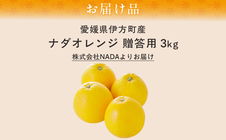 【先行予約】【農家直送】愛媛県産 ナダオレンジ 贈答用 3kg（2025年5月中旬より順次発送予定） IKTC005 