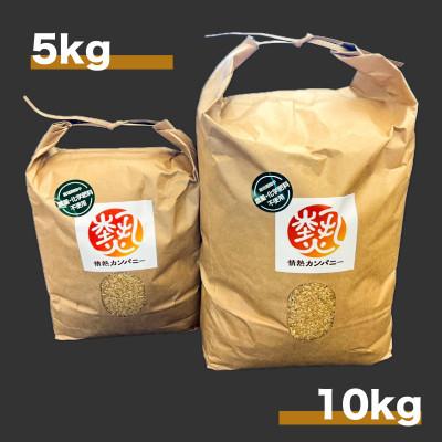 ふるさと納税 阿南市 【令和7年産　新米先行予約】コシヒカリ玄米5kg《栽培期間中農薬・化学肥料不使用》徳島県阿南市産 |  | 02