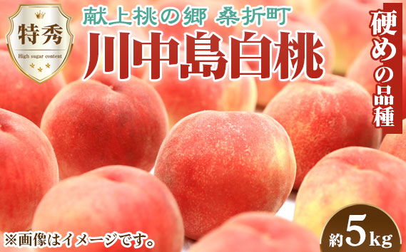 もも【川中島白桃・2026年産先行受付】特秀　5kg　桑折町産　JAふくしま未来　桃 No.100