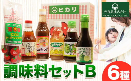 有機 調味料 セットB 6種 光食品 株式会社 《30日以内出荷予定(土日祝除く)》無添加 調味料 バラエティーセット 中農ソース とんかつソース ケチャップ ドレッシング ノンオイル 無農薬栽培 徳