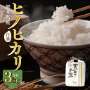 【ふるさと納税】【先行予約】【令和6年産】八代市産 ヒノヒカリ 3kg 米 熊本 送料無料 【2024年11月上旬より順次発送】