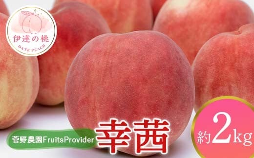 
                  【2026年出荷分先行予約】<冷蔵配送>福島県産 幸茜 約2㎏ (4～7玉) 菅野農園FruitsProvider さちあかね 大玉 固め 伊達の桃 桃 フルーツ 果物 もも モモ momo F21C-266
                