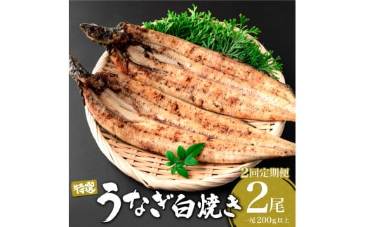 ＜2026年5月配送開始／定期便2回＞ うなぎ白焼き 計800g (200g×2尾×2回) ／ うなぎ 鰻 ウナギ 蒲焼 蒲焼き 土用 丑の日 特選 肉厚 たれ 国産 ふるさと 鰻丼 鰻重 うな重 うなぎたれ ギフト 贈り物 佐賀 佐賀県