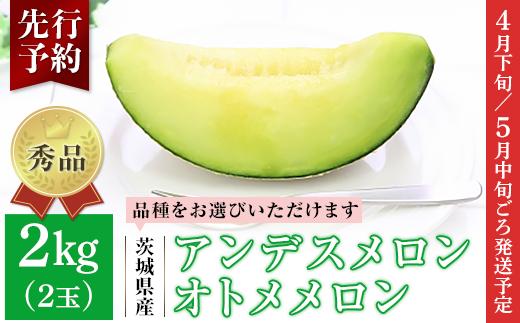 
            アンデスメロン or オトメメロン 秀品 2玉 約2kg 茨城県 JA水戸産 007
          