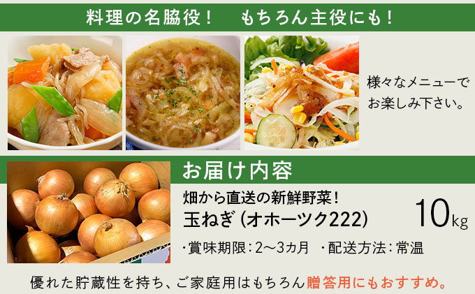 【順次配送】畑から直送の新鮮野菜！玉ねぎ（オホーツク222）10kg｜タマネギ たまねぎ 玉葱 北海道 岩見沢市【a168-005-0】