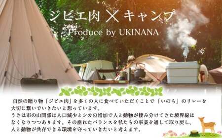 【 ジビエ 】 肉汁溢れるジビエ肉ハンバーグ 180g×4個 ハンバーグ ジビエハンバーグ ジビエ肉 冷凍 鹿肉 鹿 お肉 ニク 肉 にく 惣菜
