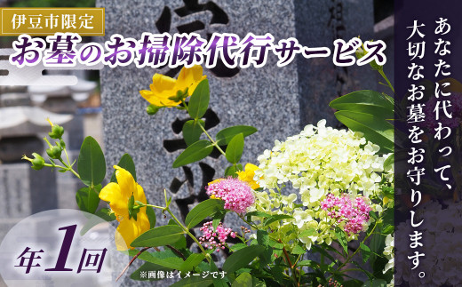 （伊豆市限定）お墓のお掃除代行サービス 年1回 【お彼岸 お盆 掃除  お参り 献花 伊豆 静岡県】A-056　