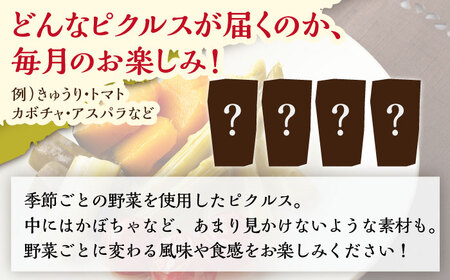 【4回定期便】季節のピクルス 4種セット [UDD004] ピクルス ピクルスセット ピクルス4種 季節のピクルス 旬野菜ピクルス ピクルス定期便