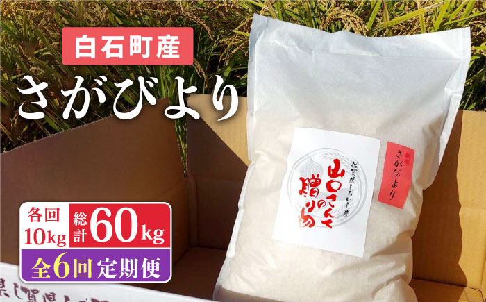 
            【令和7年11月以降発送】【6回定期便】 特別栽培米 さがびより 10kg 白米 ～山口さんちの贈り物～【y'scompany】佐賀県産 特別栽培米 米 お米 10kg さがびより サガビヨリ 白米  人気 高評価 九州 佐賀県 白石町 [IAS017]
          