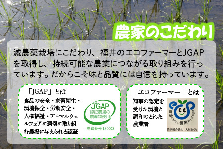 【令和7年産・新米】 おおかわさんちの華越前 5kg 精米 [A-10809]