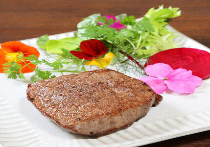 【ガーデンレストラン 陶酔房ー】国産黒毛和牛窯焼き 上ももステーキ 2名様 | チケット 食事券 ガーデン レストラン 上もも ステーキ 兵庫県 上郡町