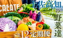 【ふるさと納税】定期便 旬 新鮮 野菜 計12回 8-12種程度 | やさい 12ヶ月 種類 おまかせ お取り寄せ 詰め合わせ 詰合せ セット 高知県 高知市 生産者支援 北海道・沖縄配送不可