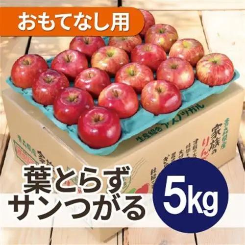 【2026年9月発送予定】平均糖度12度以上!葉とらずサンつがる 約5kg おもてなし用 クール便_果物・フルーツ りんご  リンゴ 林檎_【配送不可地域：離島・沖縄県】【1607021】