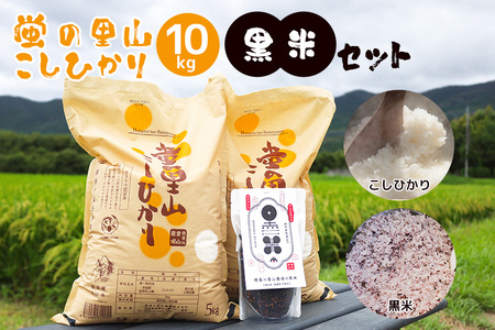 令和7年度 極上ランク 蛍の里のこしひかり 白米10kg(5kg×2袋) 黒米300g セット コシヒカリ 米 こしひかり 精米 ブランド米 お米 白米 10kg 黒米 300g 国産 贈答 ギフト おにぎり 弁当 R7年産 ごはん おいしい 旨い ふっくら お米 茨城県 笠間市 いばらき BF-010