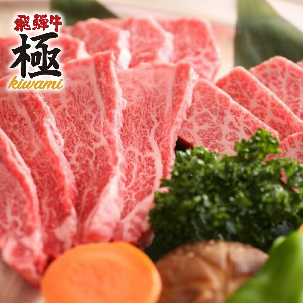 【ふるさと納税】飛騨市推奨特産品飛騨牛　BBQ　飛騨牛・鶏肉・豚肉 バラエティセット お楽しみ 牛肉 和牛 肉 熨斗掛け [E0014] 40000円 4万 飛騨市