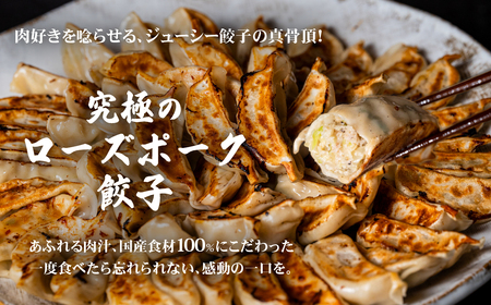 餃子 60個 ブランド豚 餃子