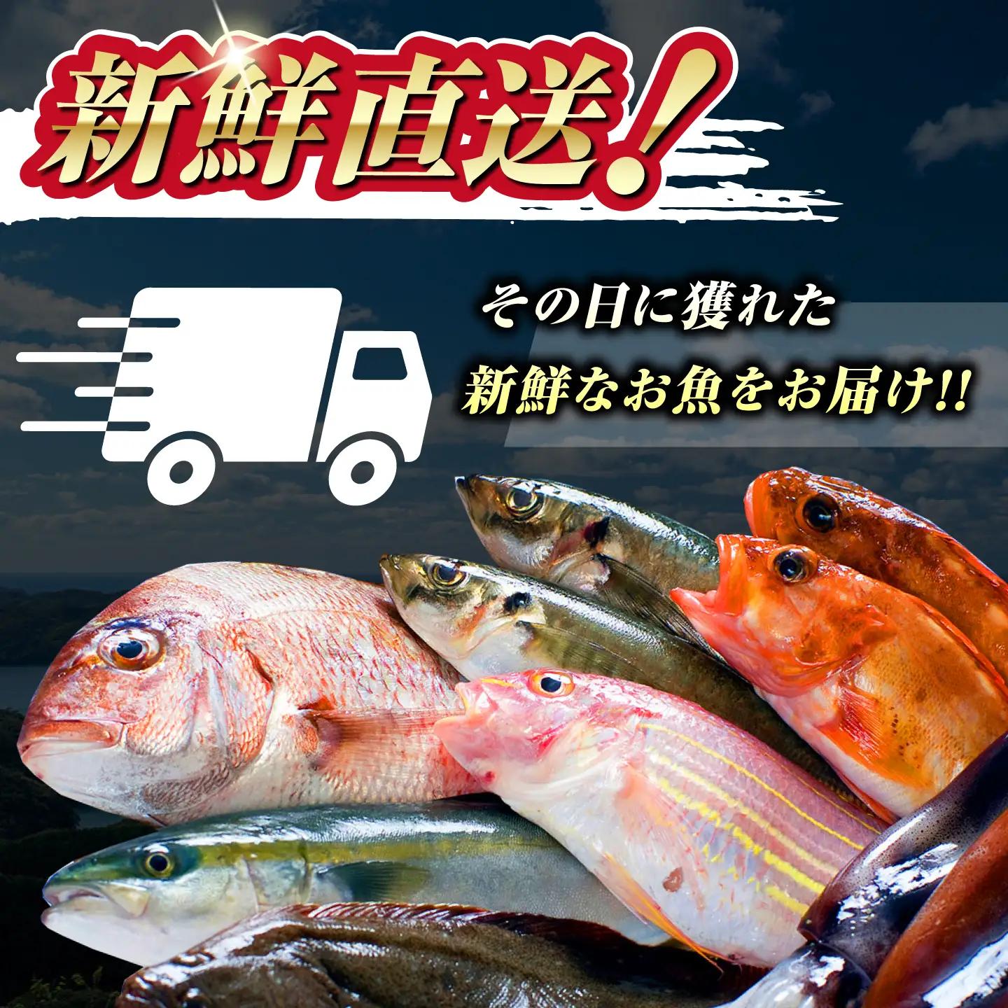 【期間限定！】対馬産 鮮魚 詰め合わせ 4種前後 2.5kg 新鮮 天然 直送 セット [WAH021]