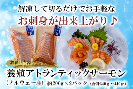 【高鮮度】サーモンお刺身セット　M079-001