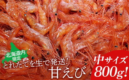 【北海道内限定】とれたてを生で発送! 甘えび800g（中サイズ以上）【06013】