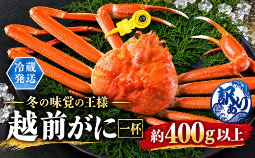 越前がに（オス）訳あり「ずわいがに」（400g以上） 1杯